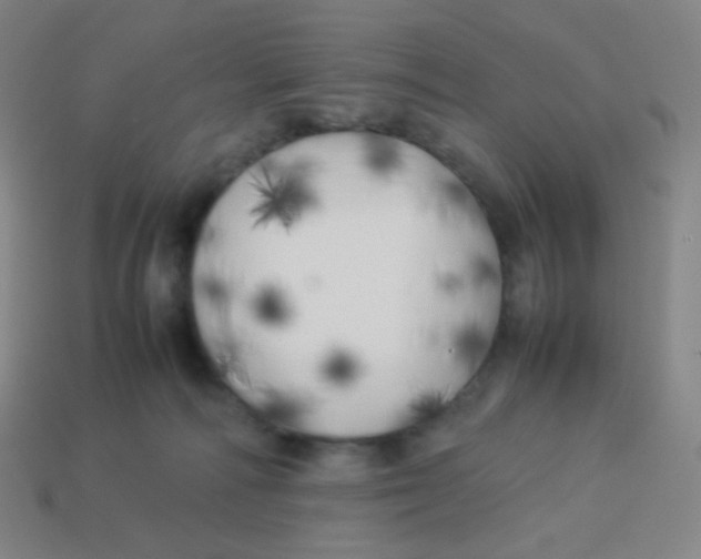 X0000113890226200910221424