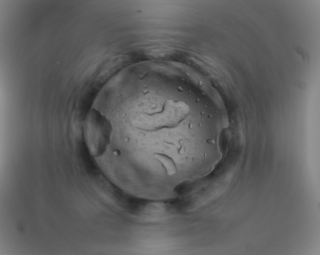 X0000113890227200910221423
