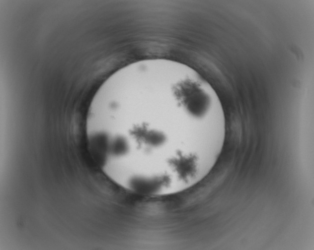 X0000113890228200910221423