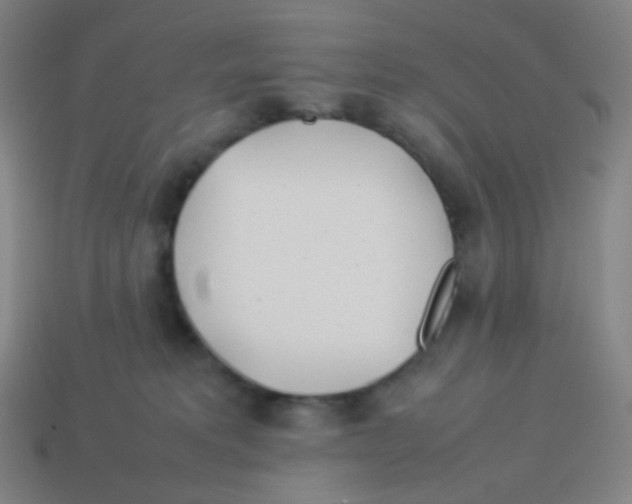 X0000113890229200910221423