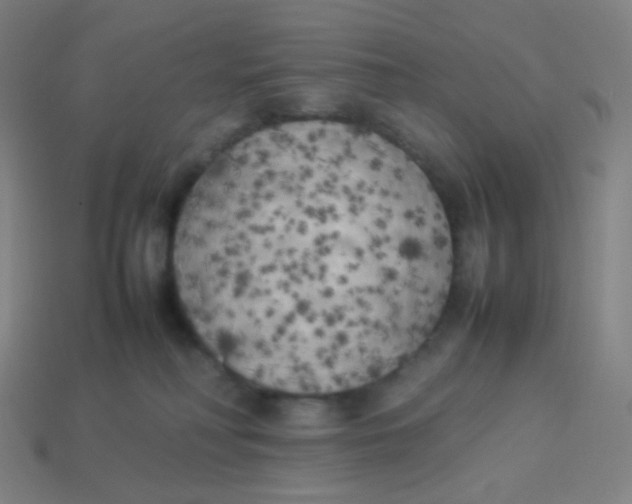 X0000113890230200910221423