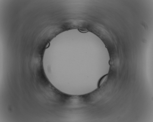 X0000113890231200910221423