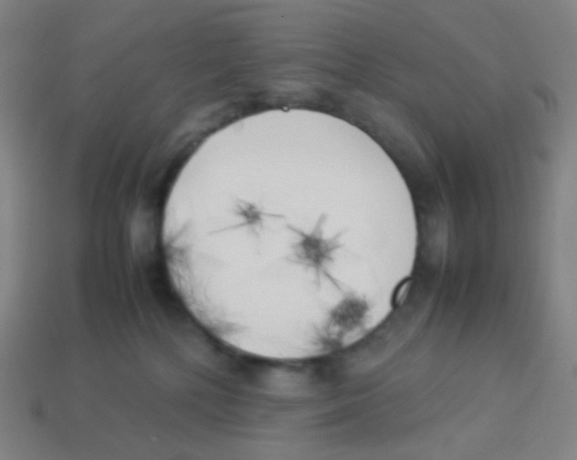 X0000113890232200910221423
