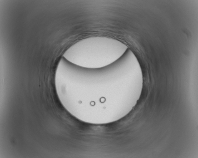 X0000113890233200910221423