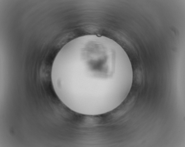 X0000113890234200910221423