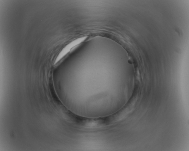 X0000113890235200910221423