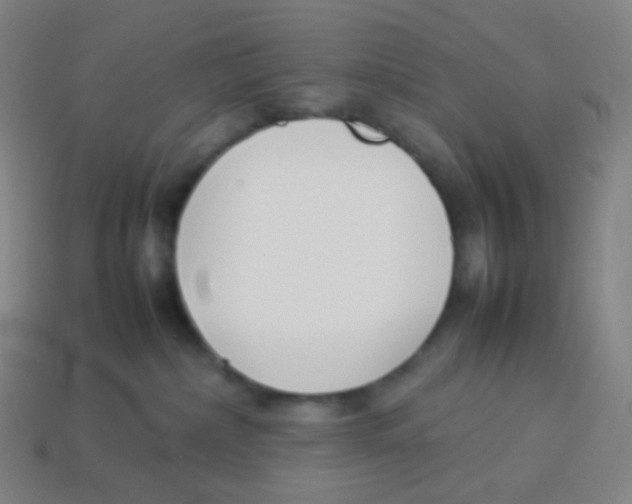X0000113890236200910221423
