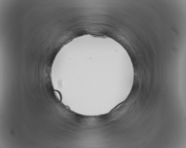 X0000113890237200910221423