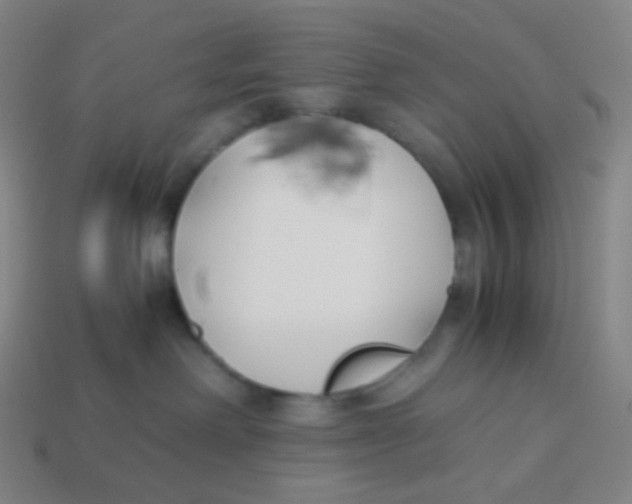 X0000113890238200910221423