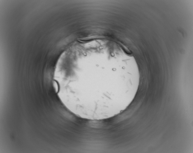 X0000113890240200910221423