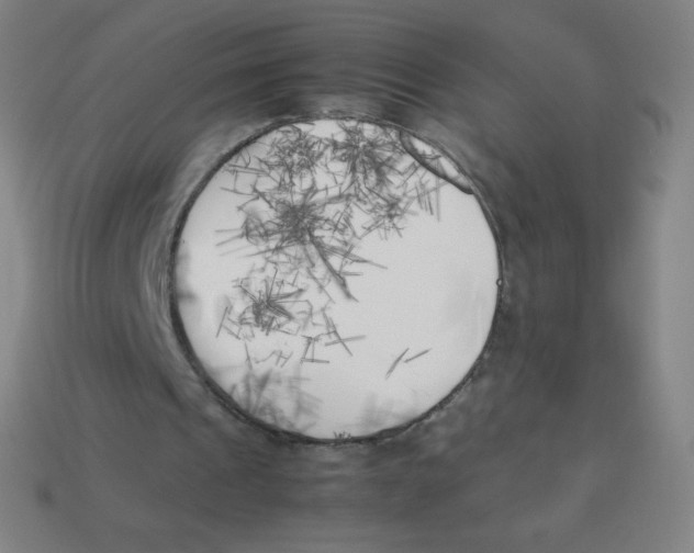 X0000113890241200910221423