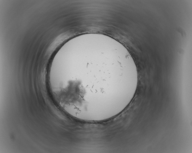 X0000113890242200910221423