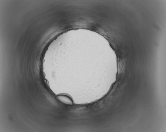 X0000113890243200910221423