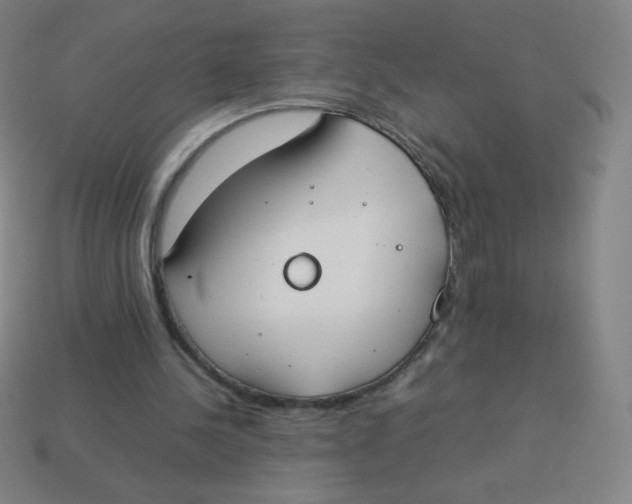 X0000113890244200910221423