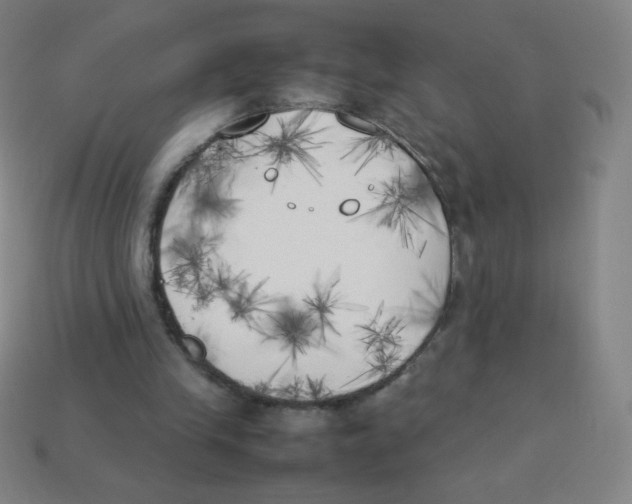 X0000113890245200910221423
