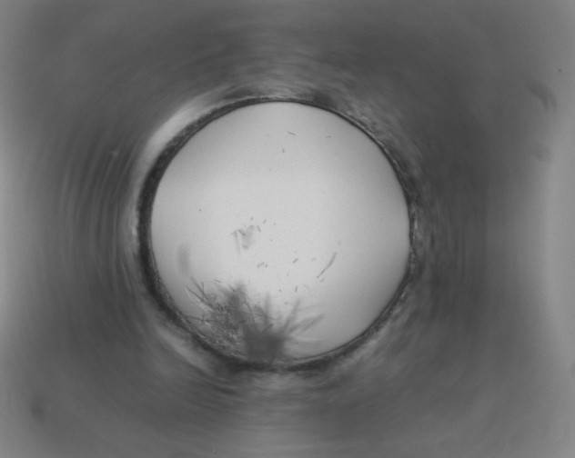 X0000113890246200910221423