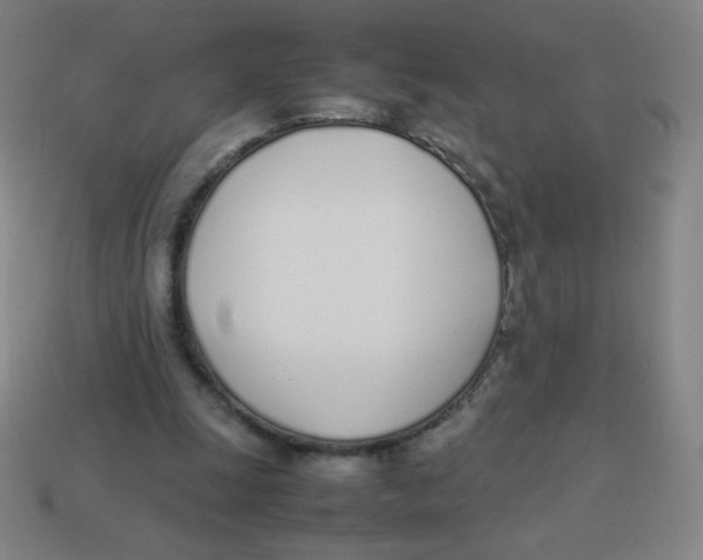 X0000113890247200910221423