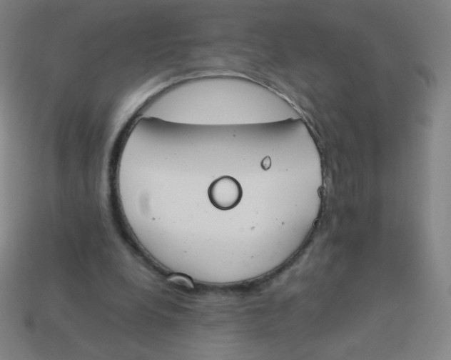 X0000113890248200910221423