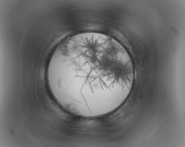 X0000113890249200910221423