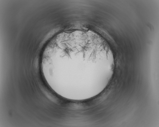 X0000113890250200910221423