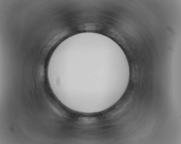 X0000113890251200910221423