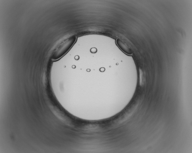 X0000113890252200910221423