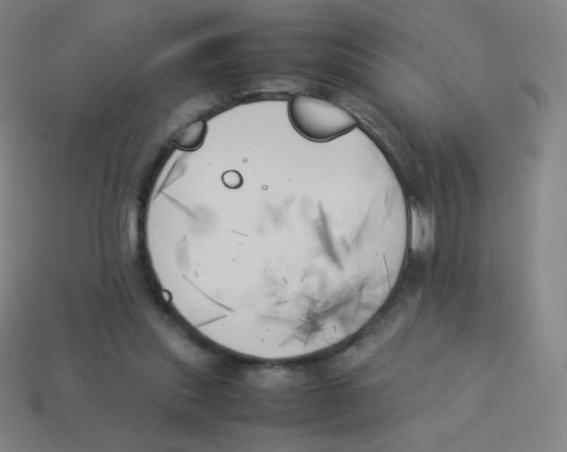 X0000113890253200910221423