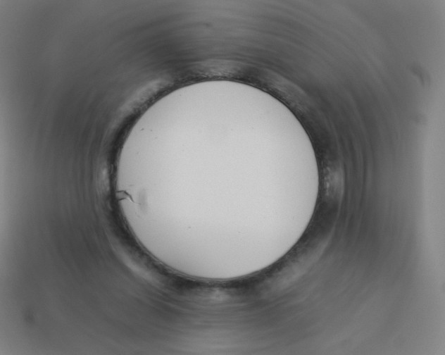 X0000113890254200910221423