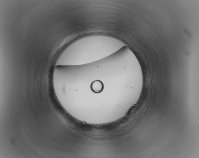 X0000113890256200910221423