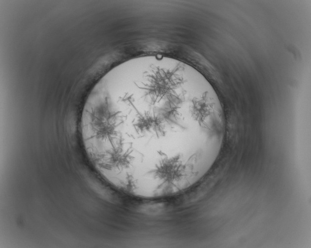 X0000113890257200910221423