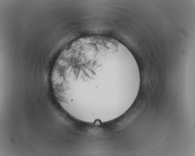 X0000113890258200910221423