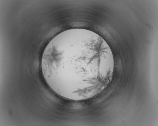 X0000113890261200910221423