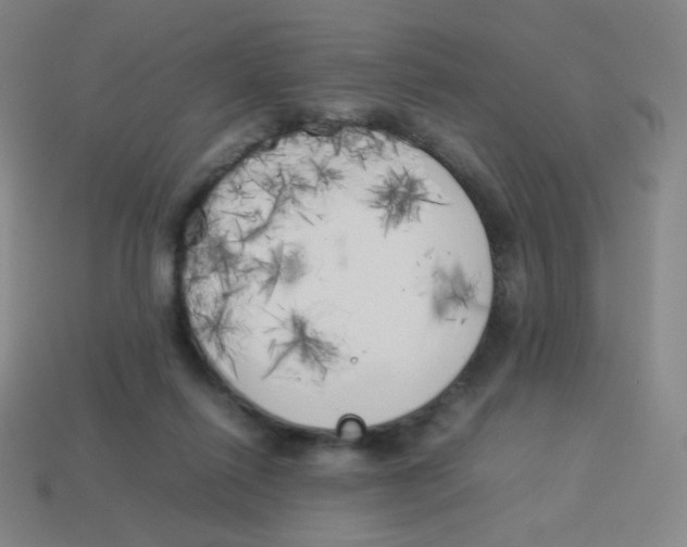 X0000113890262200910221423