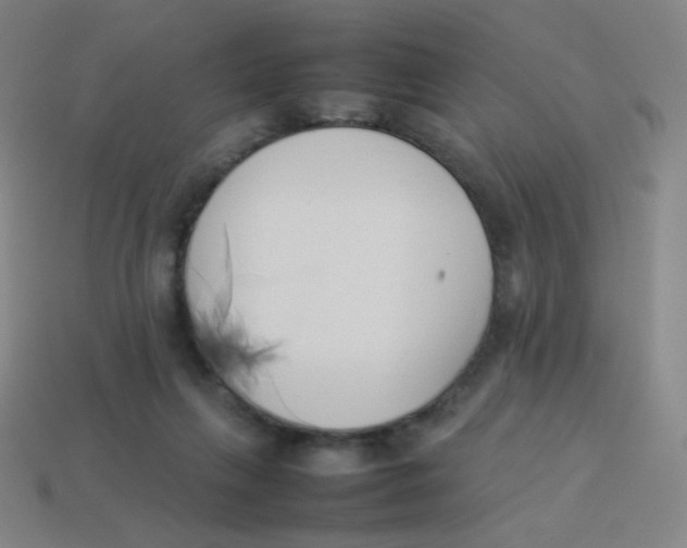 X0000113890263200910221423