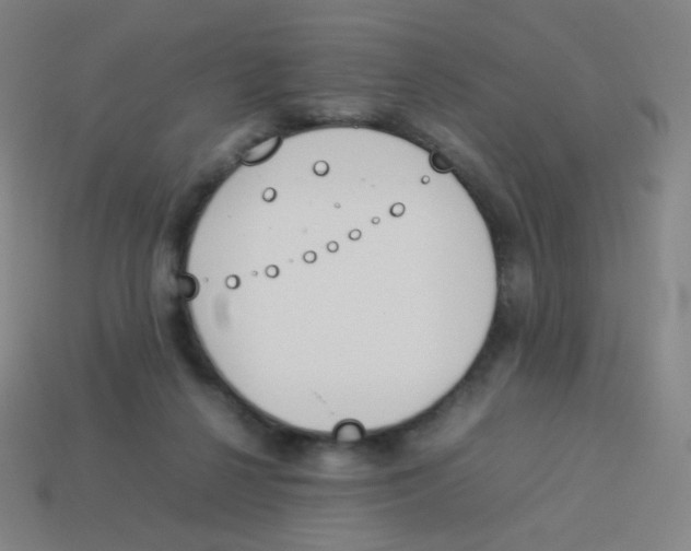 X0000113890264200910221423