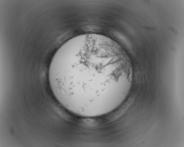 X0000113890265200910221423