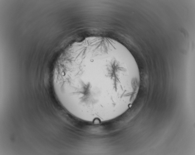 X0000113890266200910221423