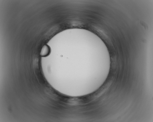X0000113890269200910221423