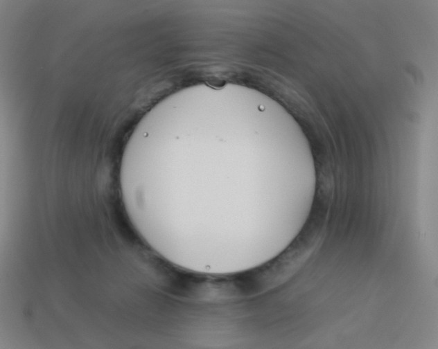 X0000113890270200910221423
