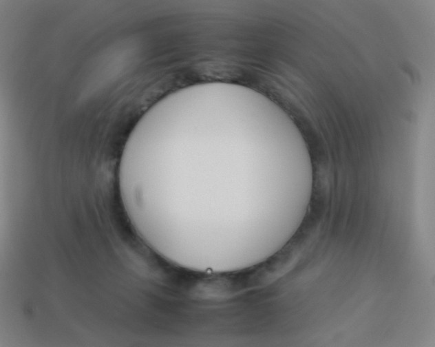 X0000113890271200910221423