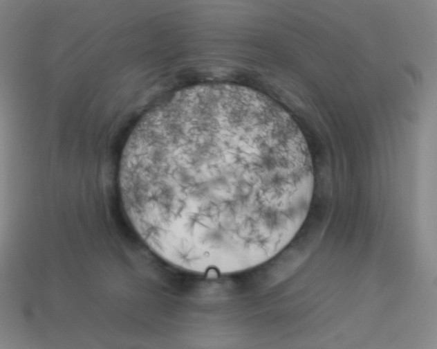 X0000113890274200910221423