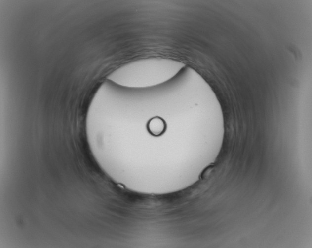 X0000113890276200910221423