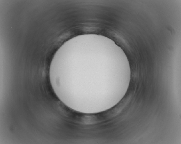 X0000113890277200910221423