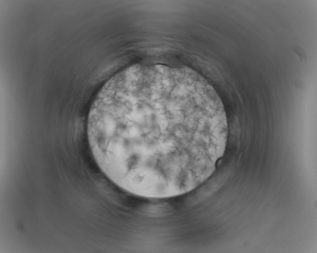 X0000113890278200910221423