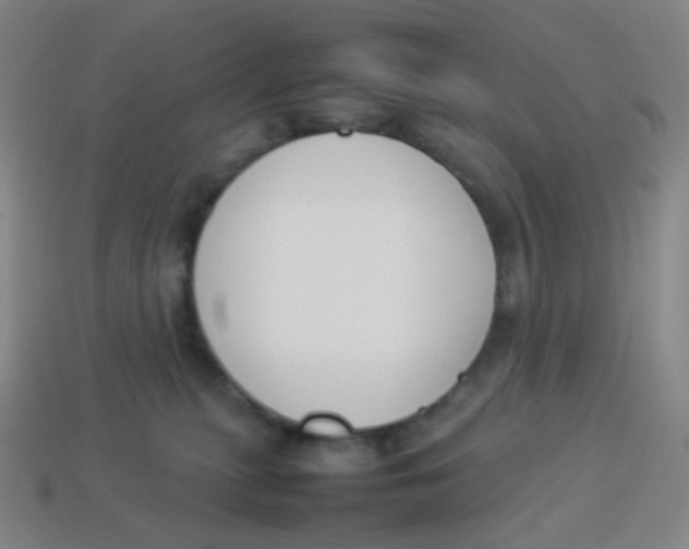 X0000113890279200910221423