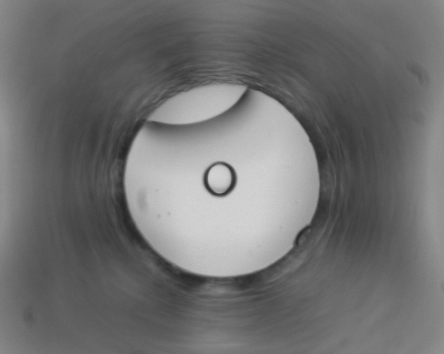 X0000113890280200910221423