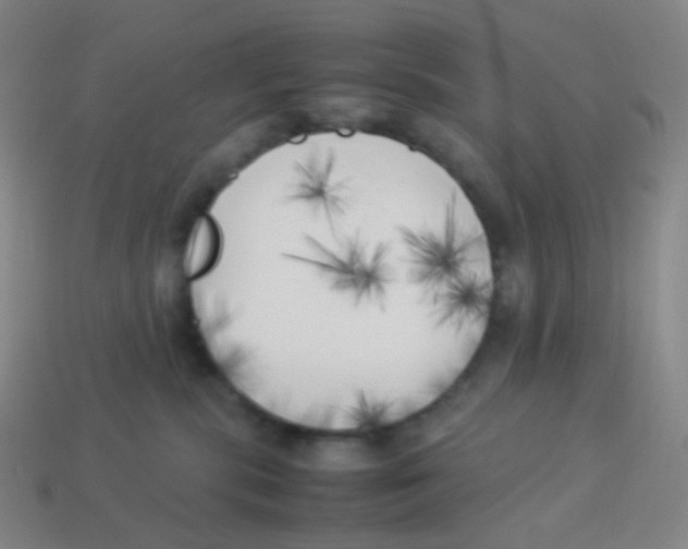 X0000113890283200910221423