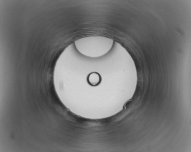 X0000113890284200910221423