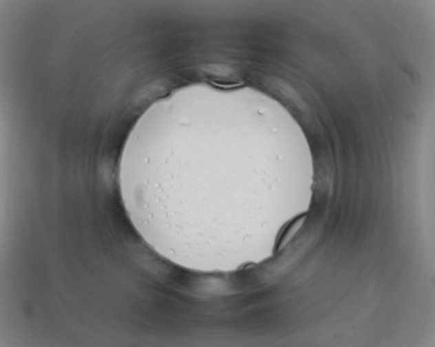 X0000113890285200910221423