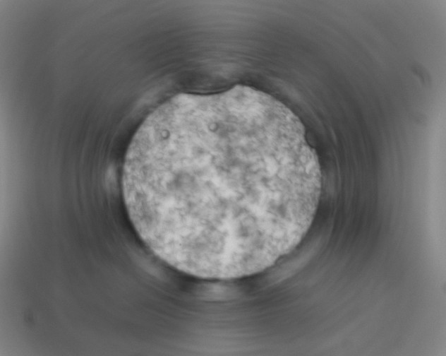 X0000113890286200910221423